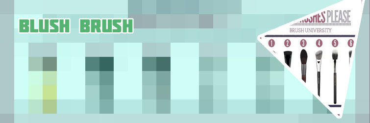 Best blush brush