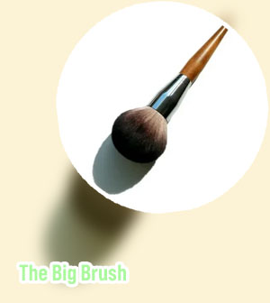 Big bronzer brush